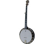 A five-string banjo with a wooden body and metal strings, featuring a circular body and a long neck.