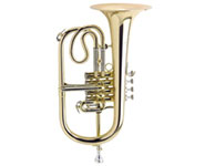 A gold brass euphonium with three valves and a flared bell, viewed from the side against a plain white background.