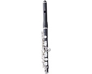 A black flute with silver keys, positioned vertically against a white background.